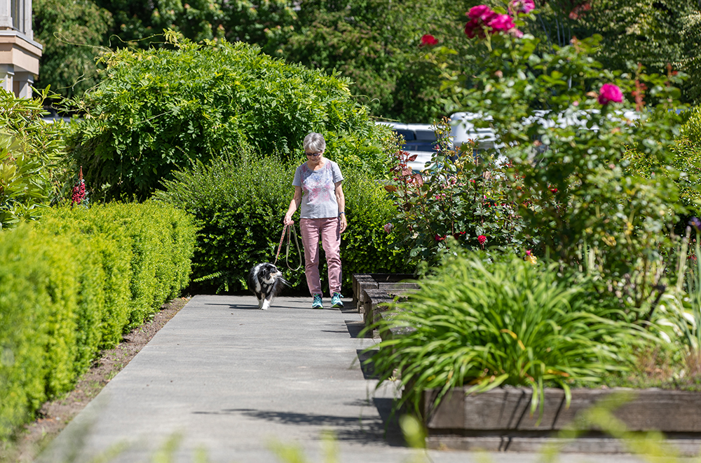 older woman walks her dog in the middle of a large garden