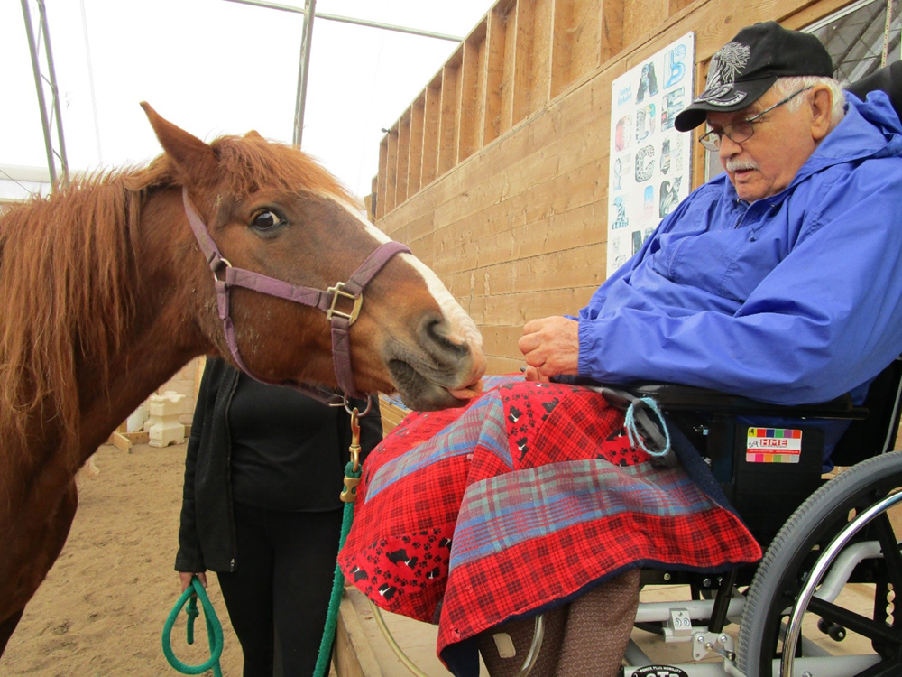 A gentleman petting a horse.