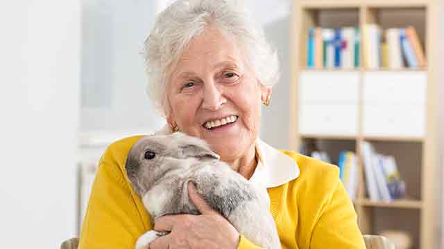image of a female senior in yellow sweather holding a bunny and smiling towards the camera