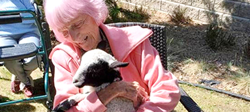  Ridgeview Lodge resident Patricia Crawshay, who turned 100 in March, makes friends with a five-month-old lamb named Bo Peep. Photograph By Ridgeview Lodge